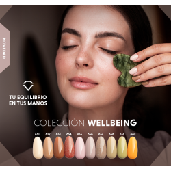 SEMILAC Wellbeing